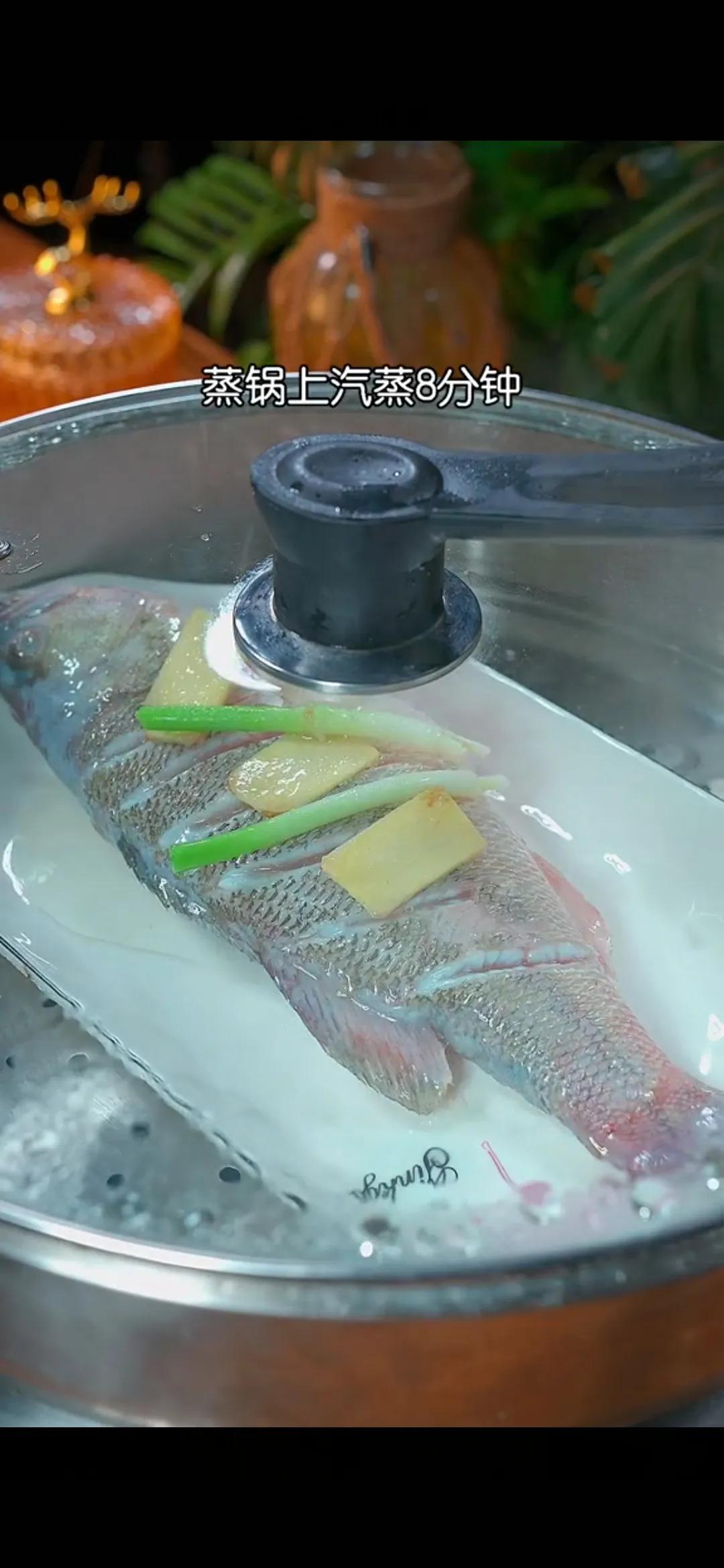 清蒸鱼用蒸鱼豉油怎么调料汁,清蒸鱼做法大全蒸鱼出的水能要吗