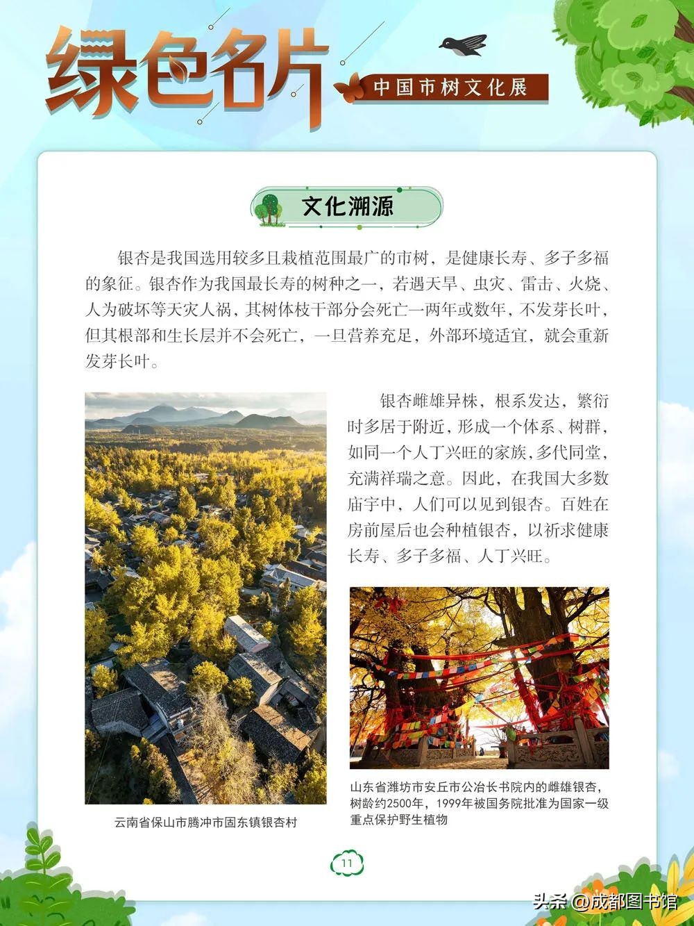 数字文化资源宣传,数字文化资源