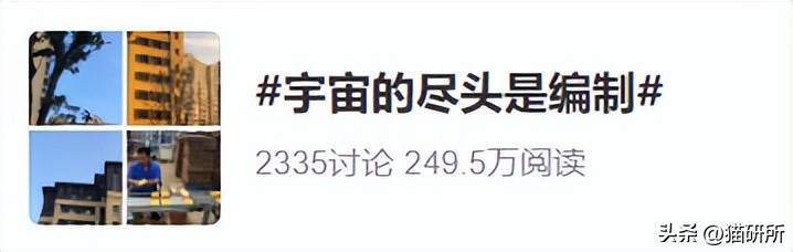 盘点那些有铁头功的猫咪 (盘点世界上那些有编制的猫咪)