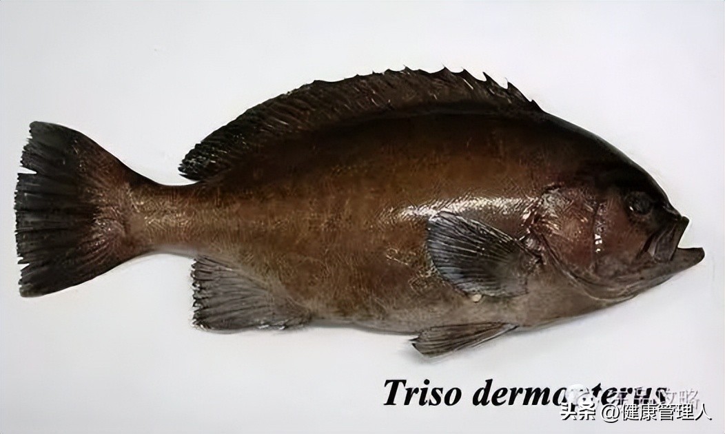 美容护肤食疗方案,美容护肤养生介绍