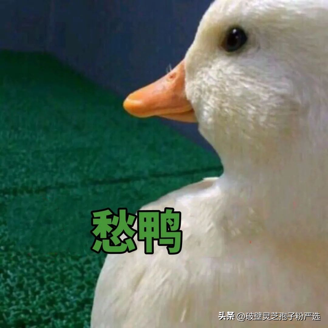 怎么买优惠流量包,流量如何充值