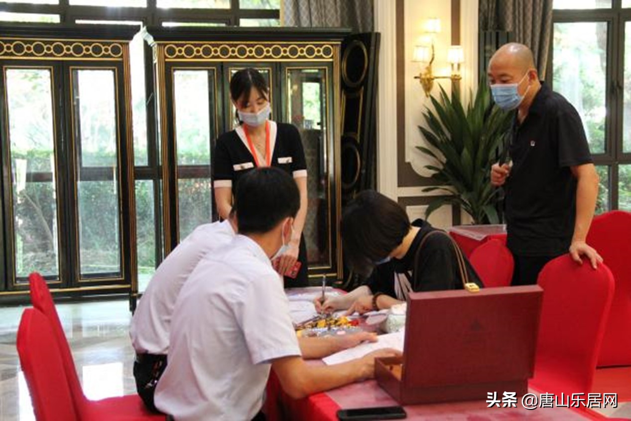 唐城壹零壹谁开发的,唐城壹零壹大平层