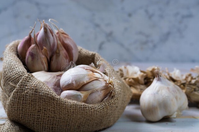 庆大霉素治观赏鱼肠炎怎么用,观赏鱼得了肠炎下药后的反应