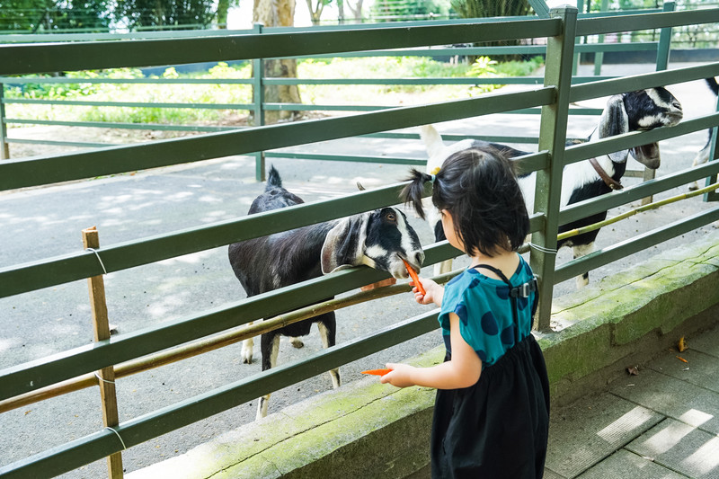 安吉中南百草园二天一夜攻略,安吉中南百草原刺激游乐项目