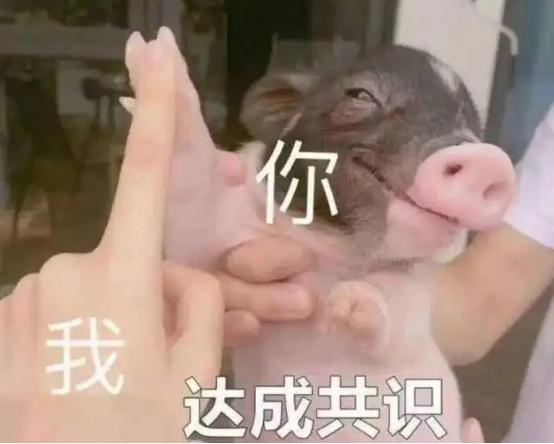 授之以渔阅读答案2016,授之以渔的五篇阅读