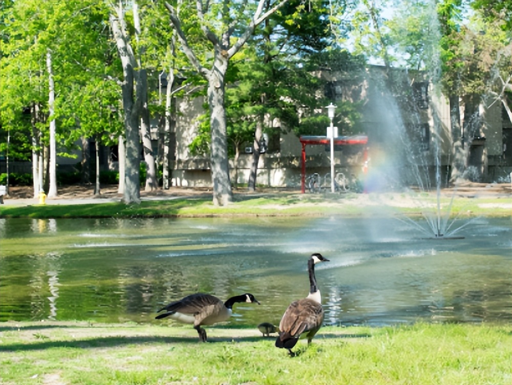 20所「吃住最糟糕」的美国大学！不管怎么骂，条件永远那么差……