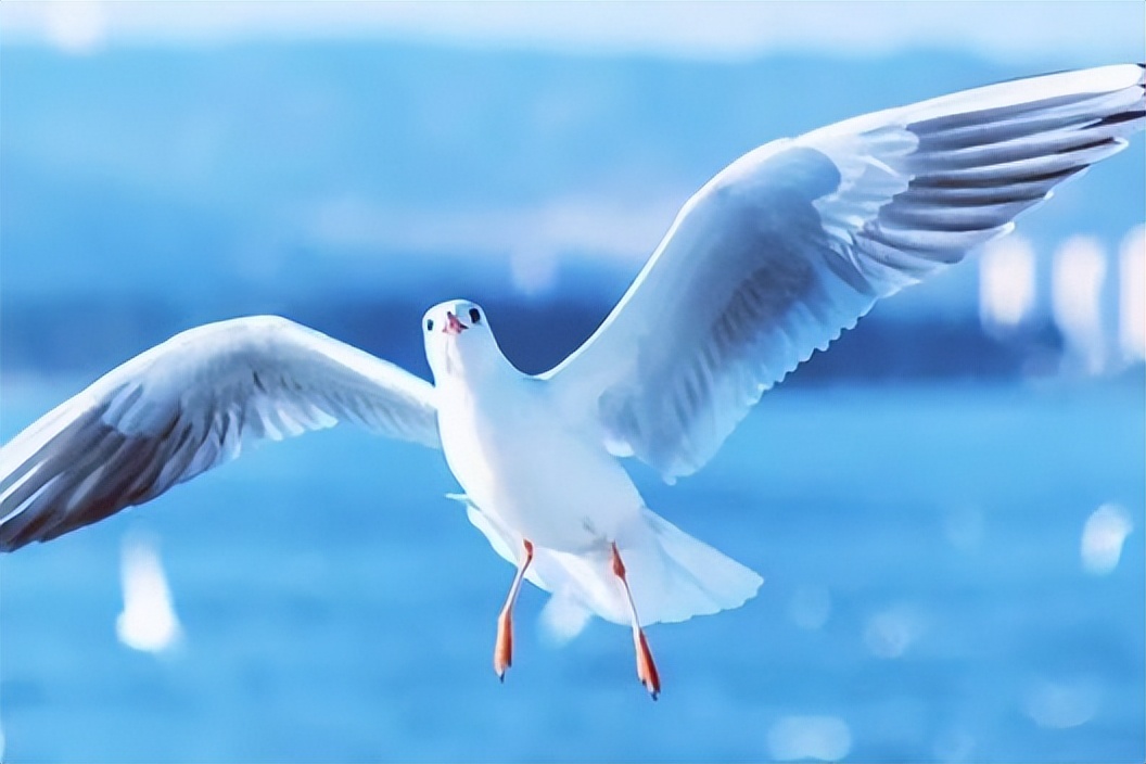 人生怎样活才合适,人生怎么才能活好自己