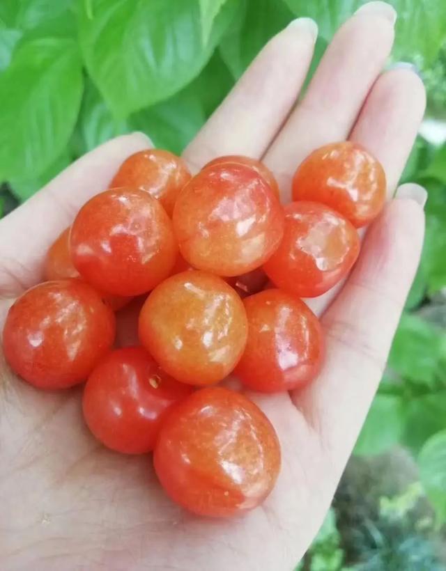 十堰特色美食八大碗,湖北十堰的特色美食有哪些