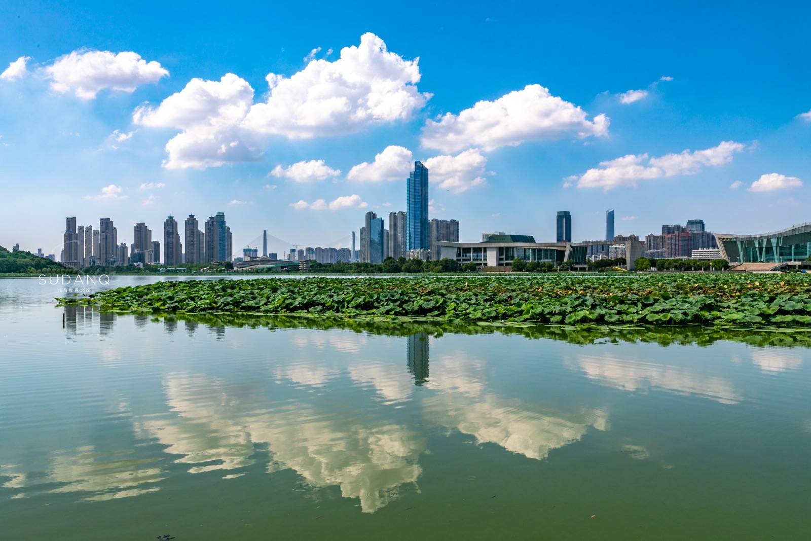 武汉值得一看的园林,武汉最宜居城市排名