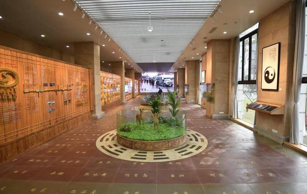 郁证的治则和治法,郁证有中医彻底治好吗