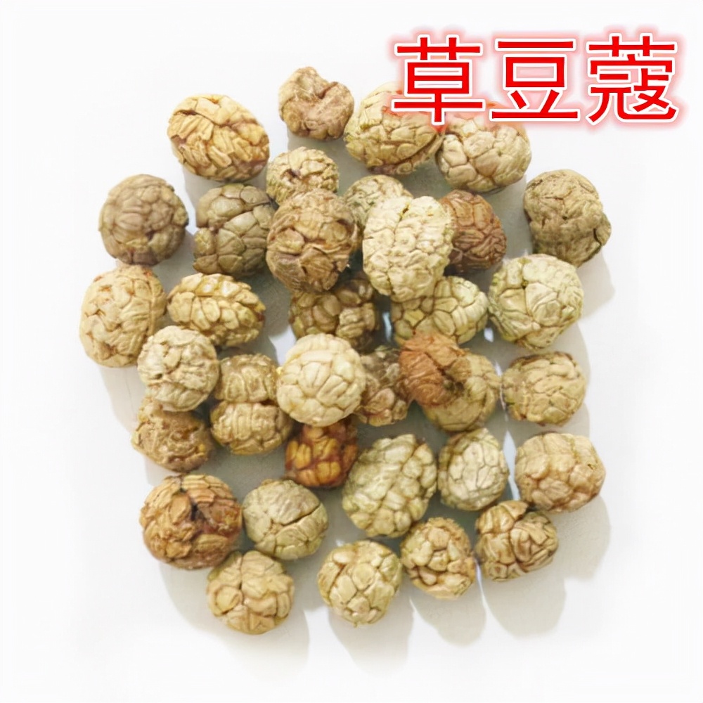 中药白豆蔻功效与作用及禁忌,白豆蔻中药和白豆蔻香料有区别吧