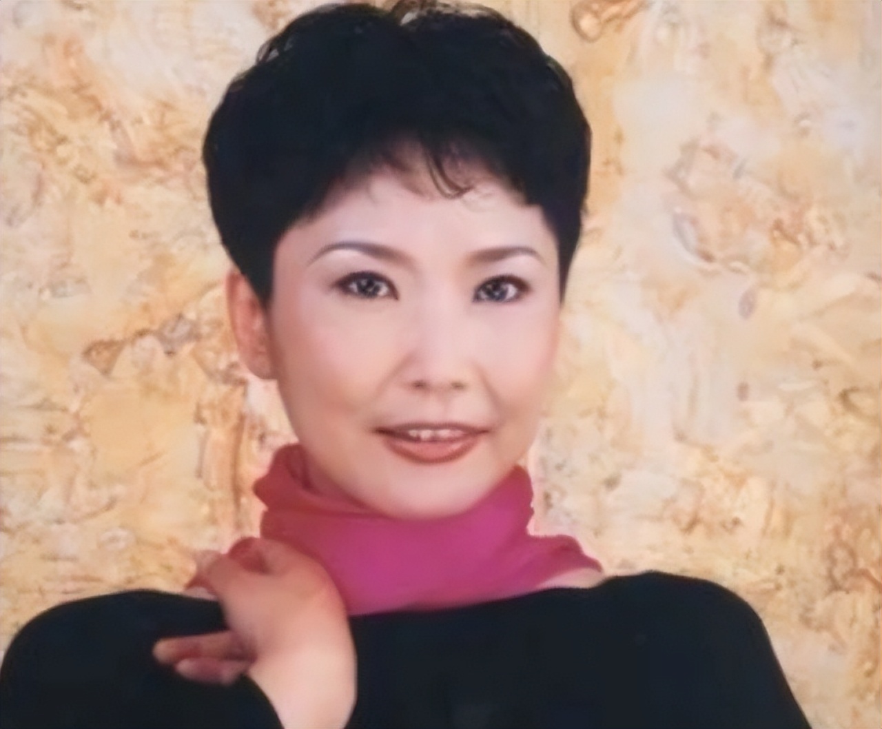 央视女主持人宁辛,主持人宁辛及丈夫近况