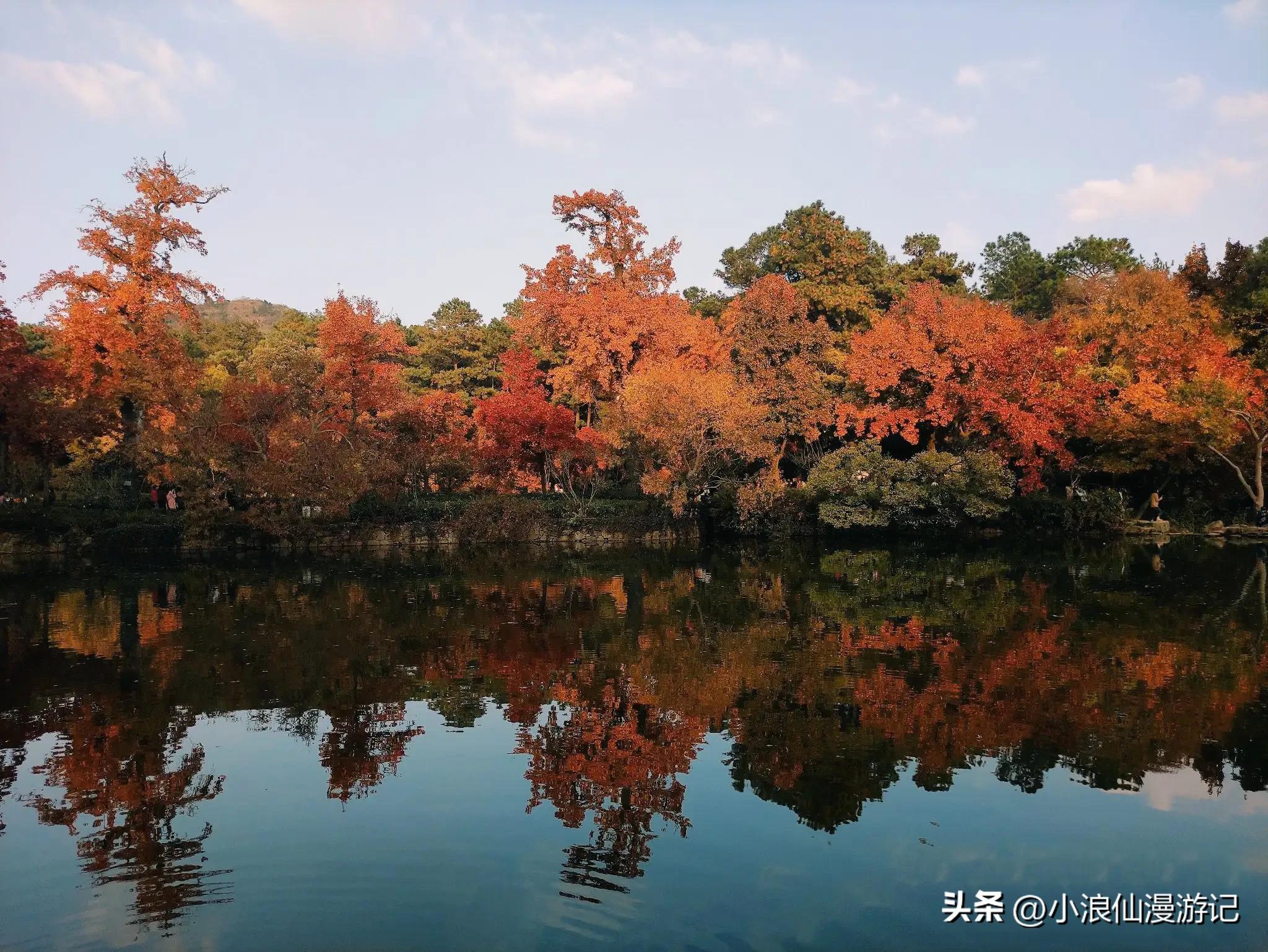 苏州天平山赏枫品茶的句子,苏州赏枫除了天平山还有哪