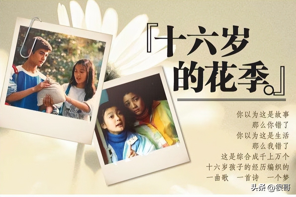 追光的日子播到几集了,追光的日子播了几集