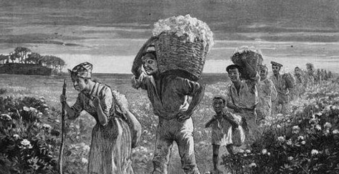 悲惨的黑人*奴女**隶，有的被当做生育机器，有的当做发泄工具