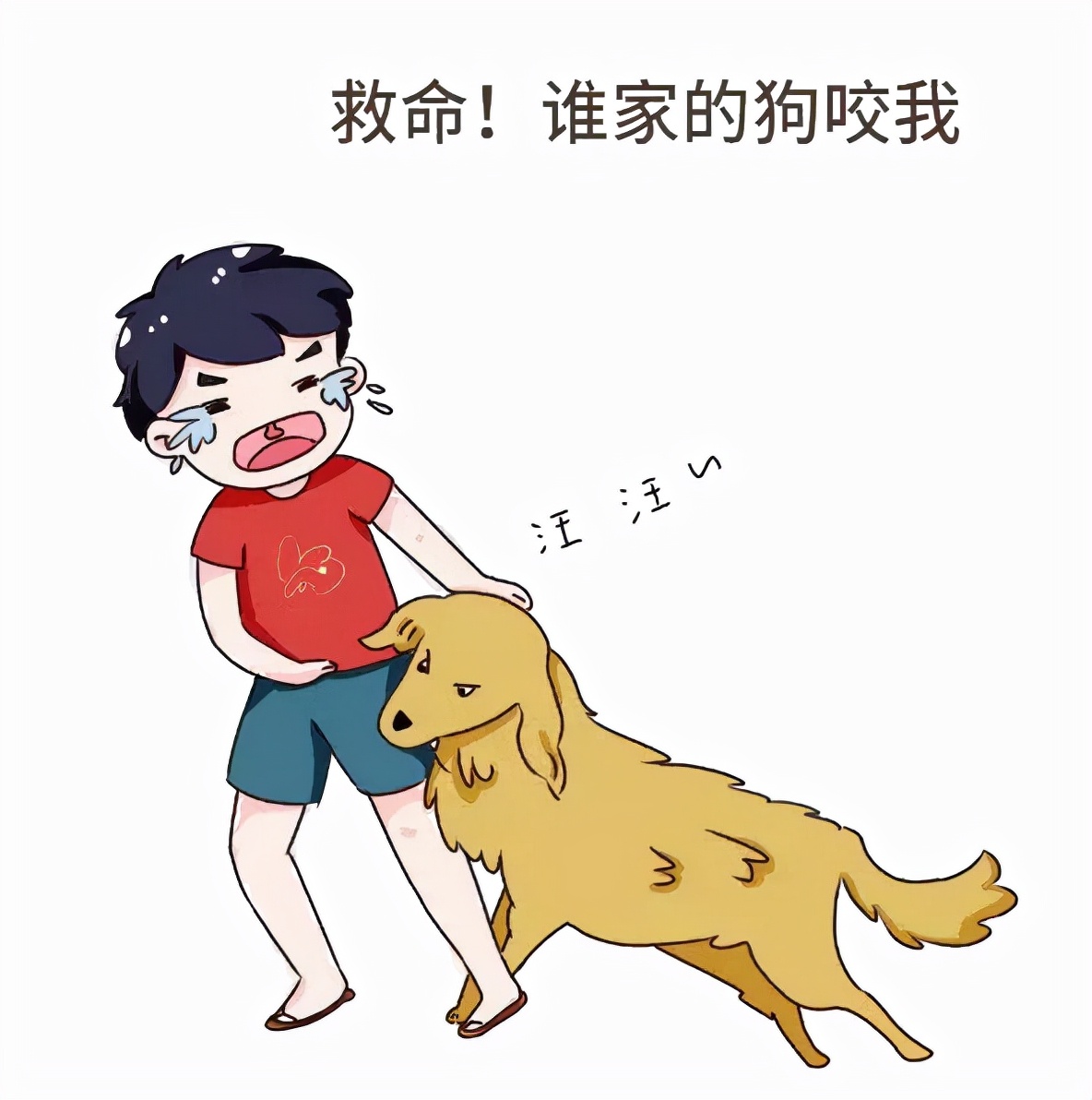 三岁男童遭狗咬伤后不幸离世,3岁孩子被狗咬伤后死亡