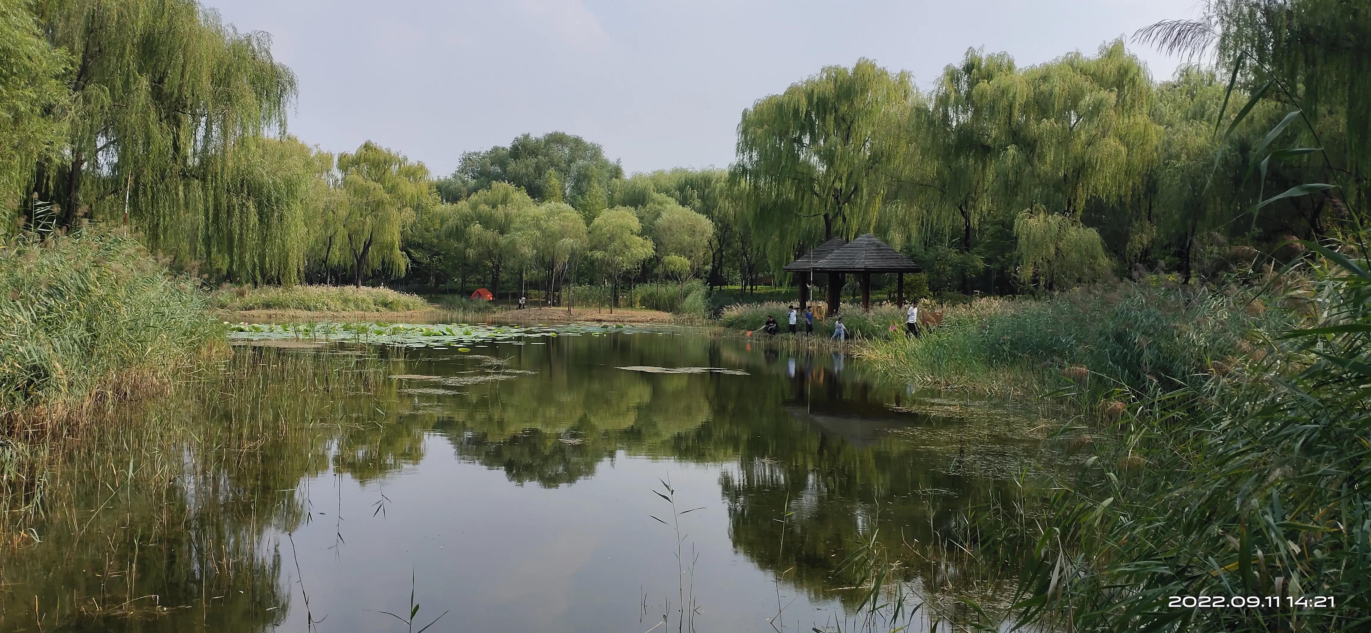 游济南森林公园作文,游济南森林公园攻略怎么写