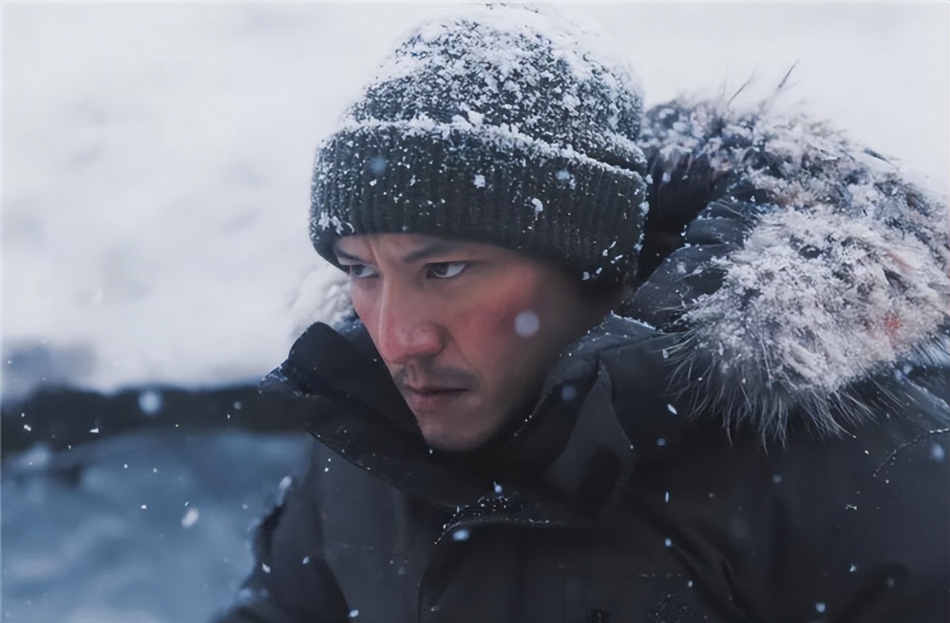 内蒙古呼伦贝尔车辆被困暴风雪,内蒙古暴风雪2010