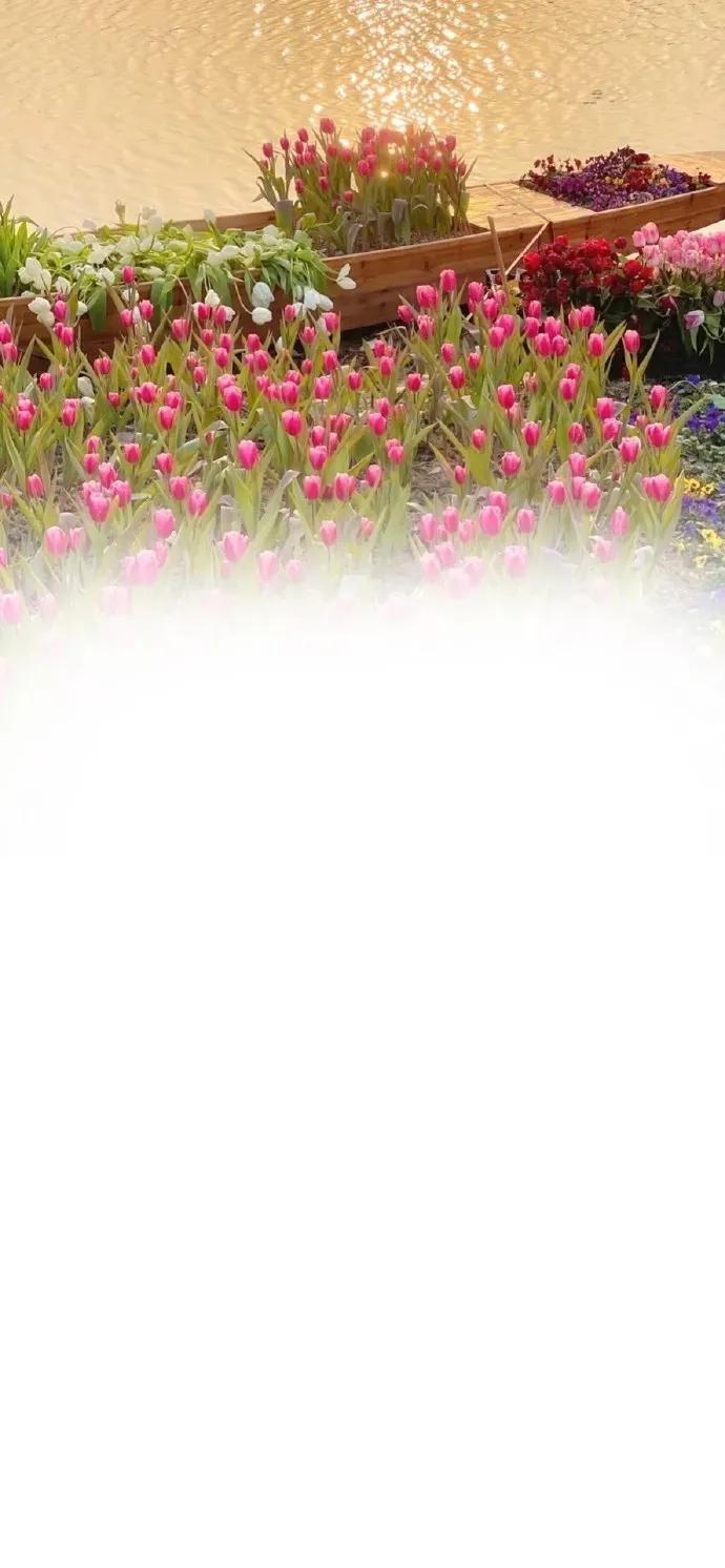 渐变晕染聊天背景图,渐变式聊天背景图