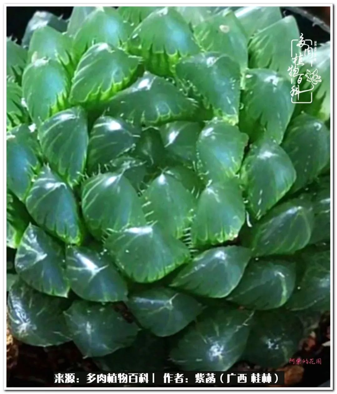 酷暑里的关爱，如十二卷般透亮绵长