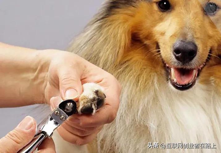 打工和做小生意哪个赚钱,适合当下的赚钱小生意