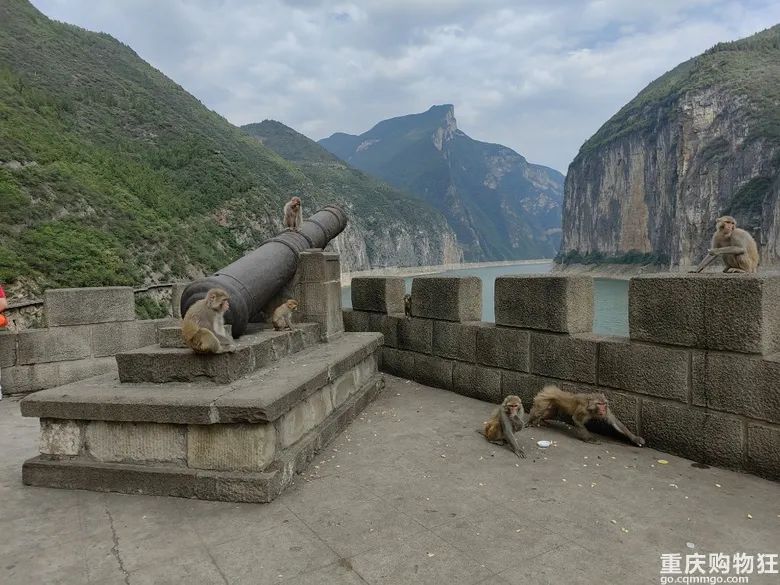 小长假旅游景点大全,夏季周边旅游美食之旅