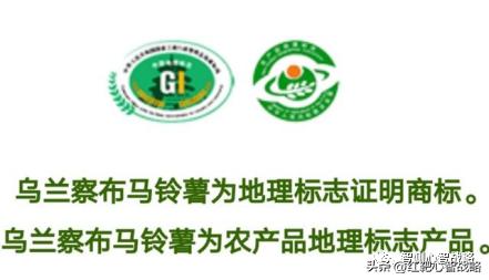 云南咖啡豆生产区位优势,云南咖啡豆概念