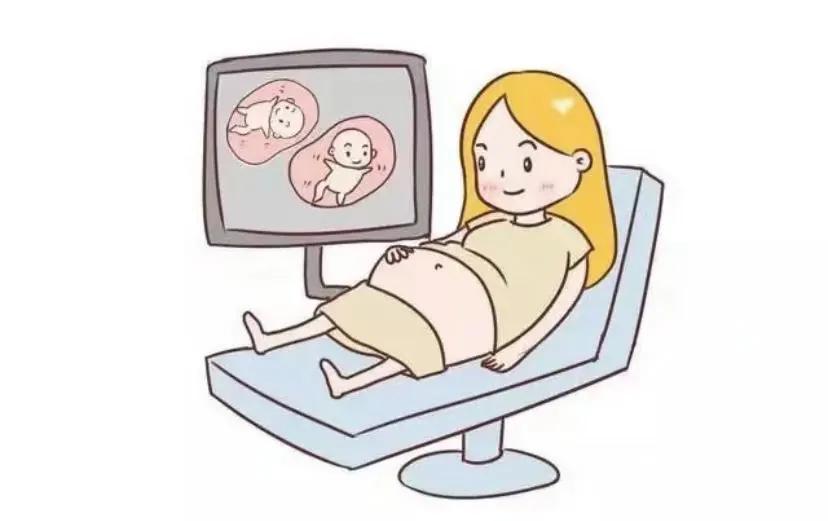 种公猪人工授精,猪人工授精方法