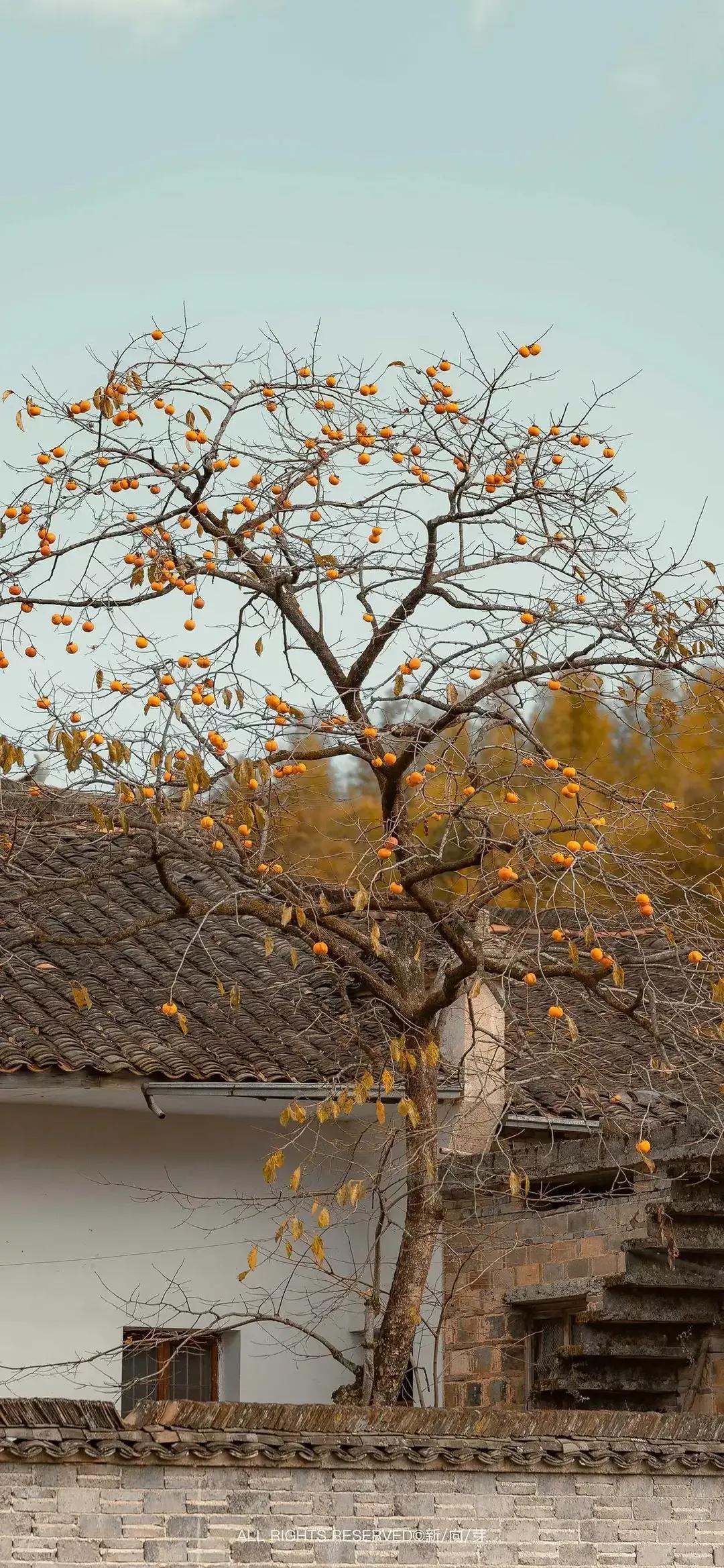 歼20高清壁纸4k全屏无水印,精选壁纸高清无水印高级感