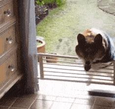 女生眼中男生头发湿了,女生眼中男的投篮