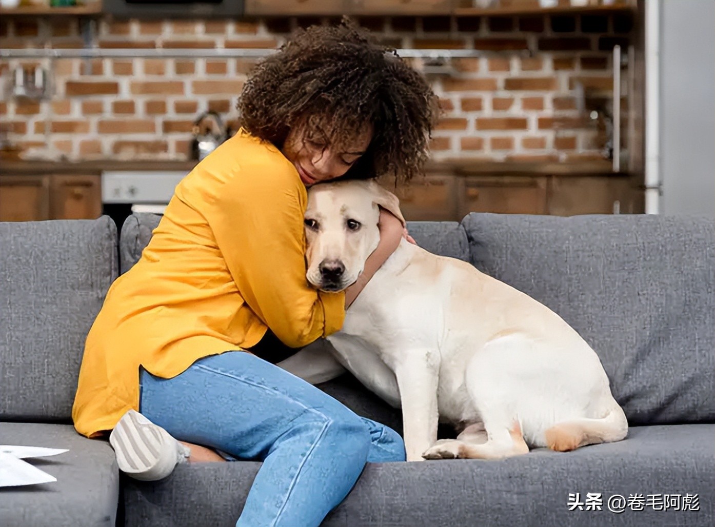 为什么动物交配前会相互闻屁股，看似尴尬的行为，却充满科学依据