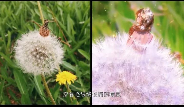 云表情慢慢变粉的表情,云表情包动图