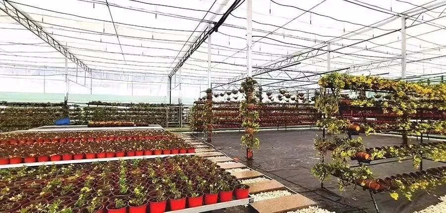 农业农村投资项目管理平台操作,地方融资平台整合方案