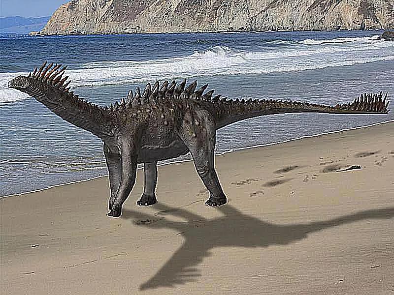 恐龙时代泰坦巨龙与雷龙,泰坦巨龙恐龙化石