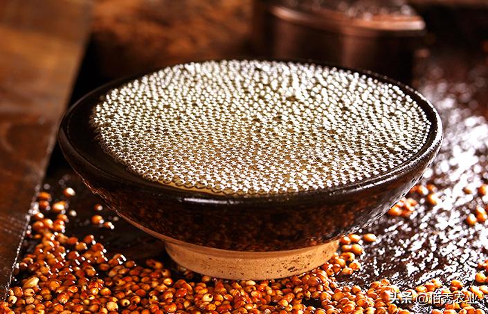 洋河酒天之蓝和梦之蓝哪个贵,洋河梦之蓝与同档次的酒对比