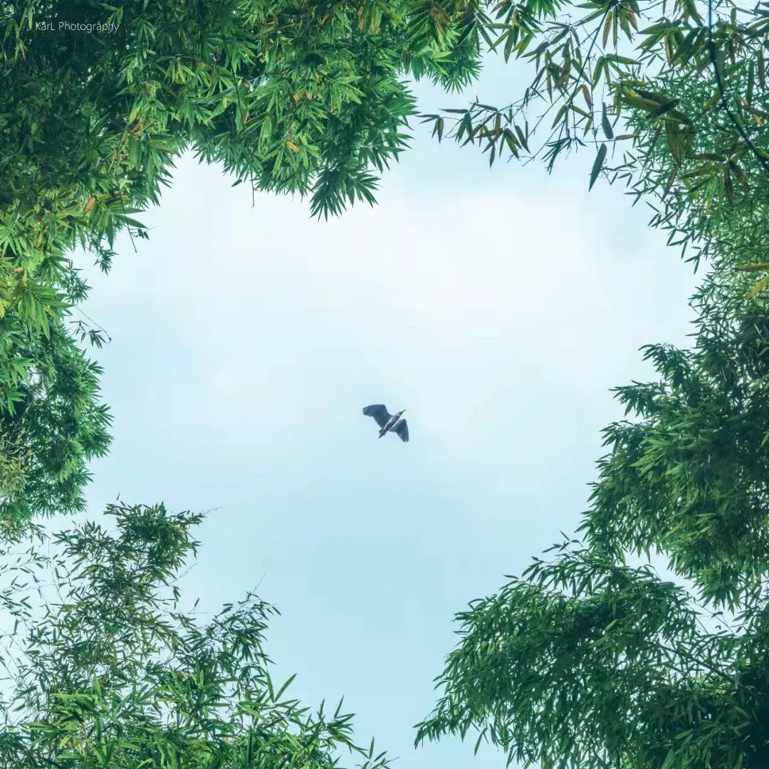 成都向上最新信息,年度向上力量合照