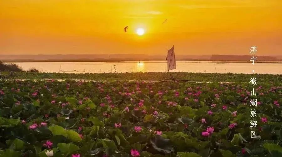 邀您共赏春,邀您一起奔赴冬日之约