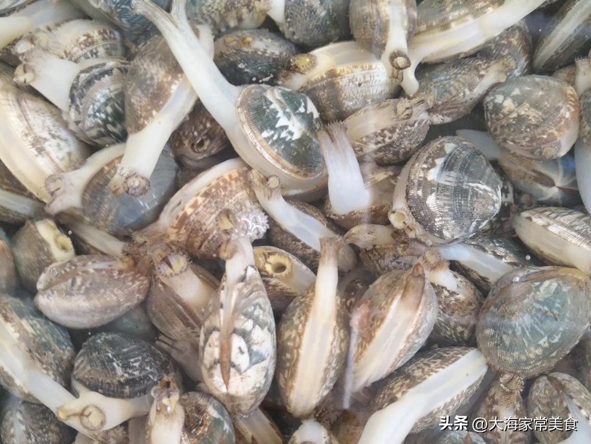 大连封海了还能吃的海鲜,大连开海吃海鲜攻略