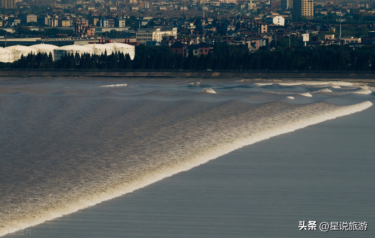 跟着唐诗去旅行100首,跟着唐诗去旅行讲的五首古诗