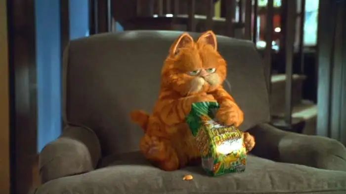 到底适合养宠物猫还是宠物狗,新手想养宠物到底是养狗还是养猫