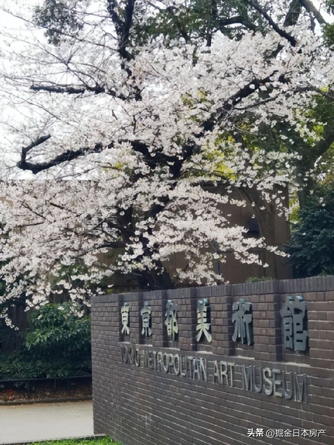 中国人一家三口定居日本幸福生活,上海人在日本定居