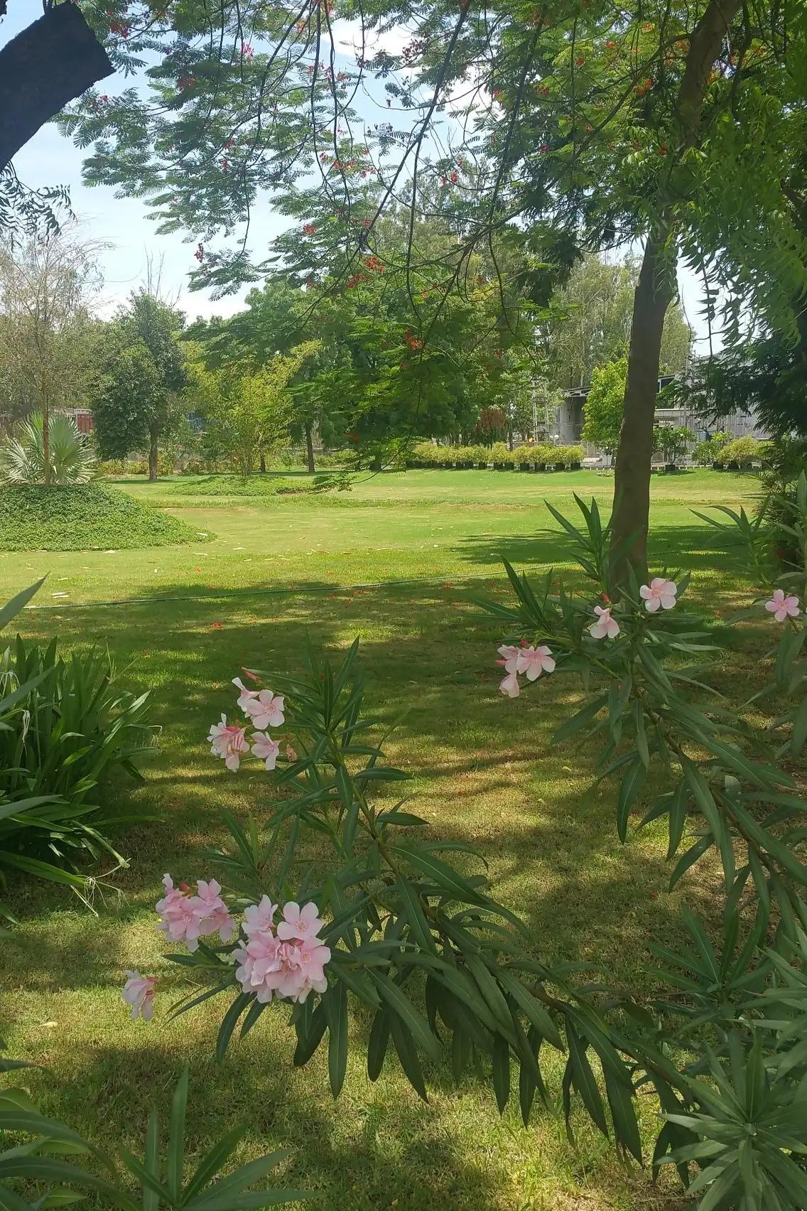 难忘的藏区旅行,真实的印度之旅