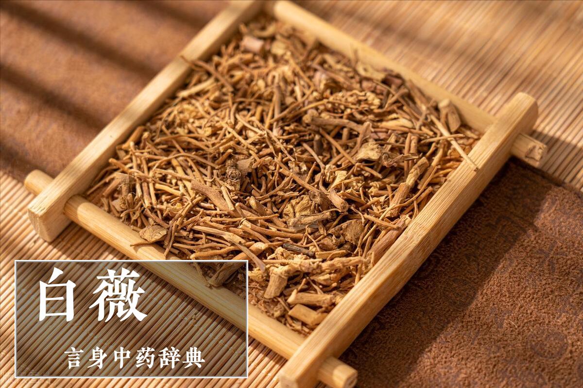 清虚热药,白薇中药主治