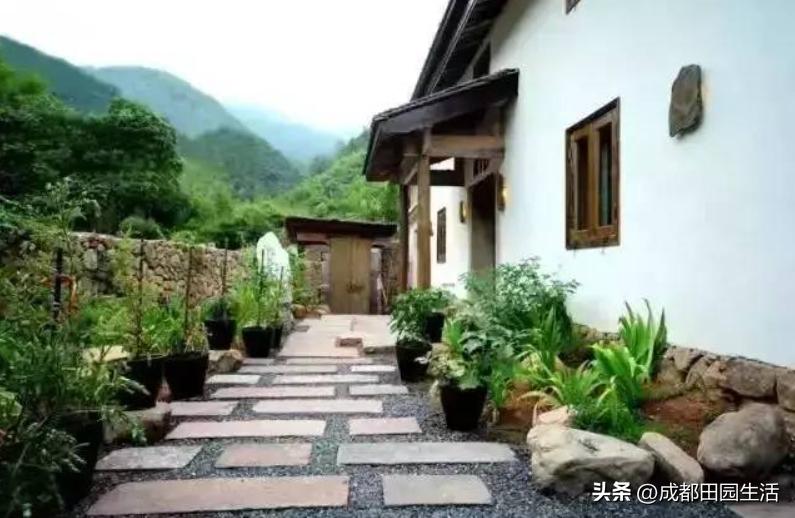 乡村民宿院子植物,庭院经济养殖致富项目