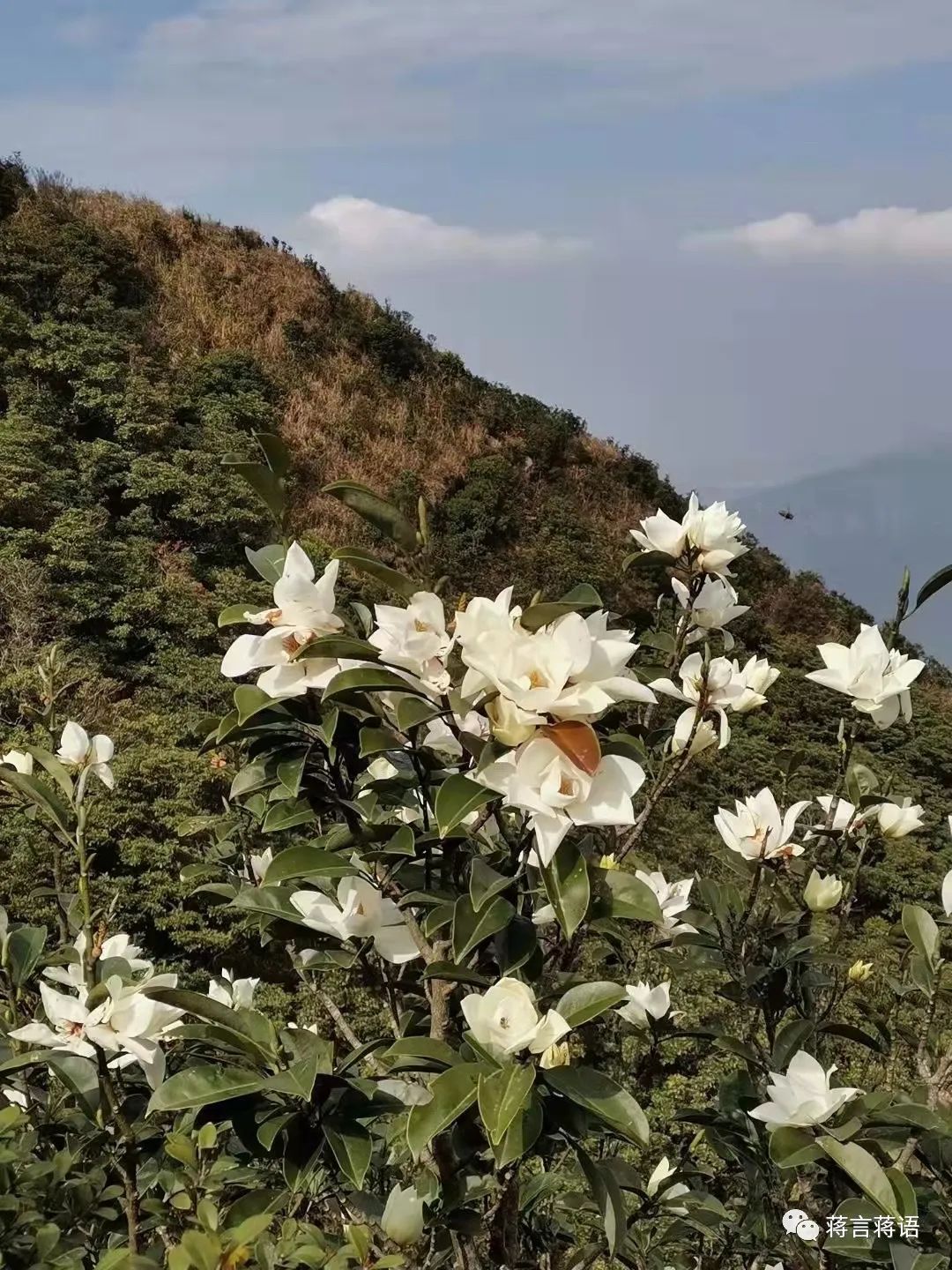遇见拖延症的孩子怎么办,遇到孩子厌学怎么沟通