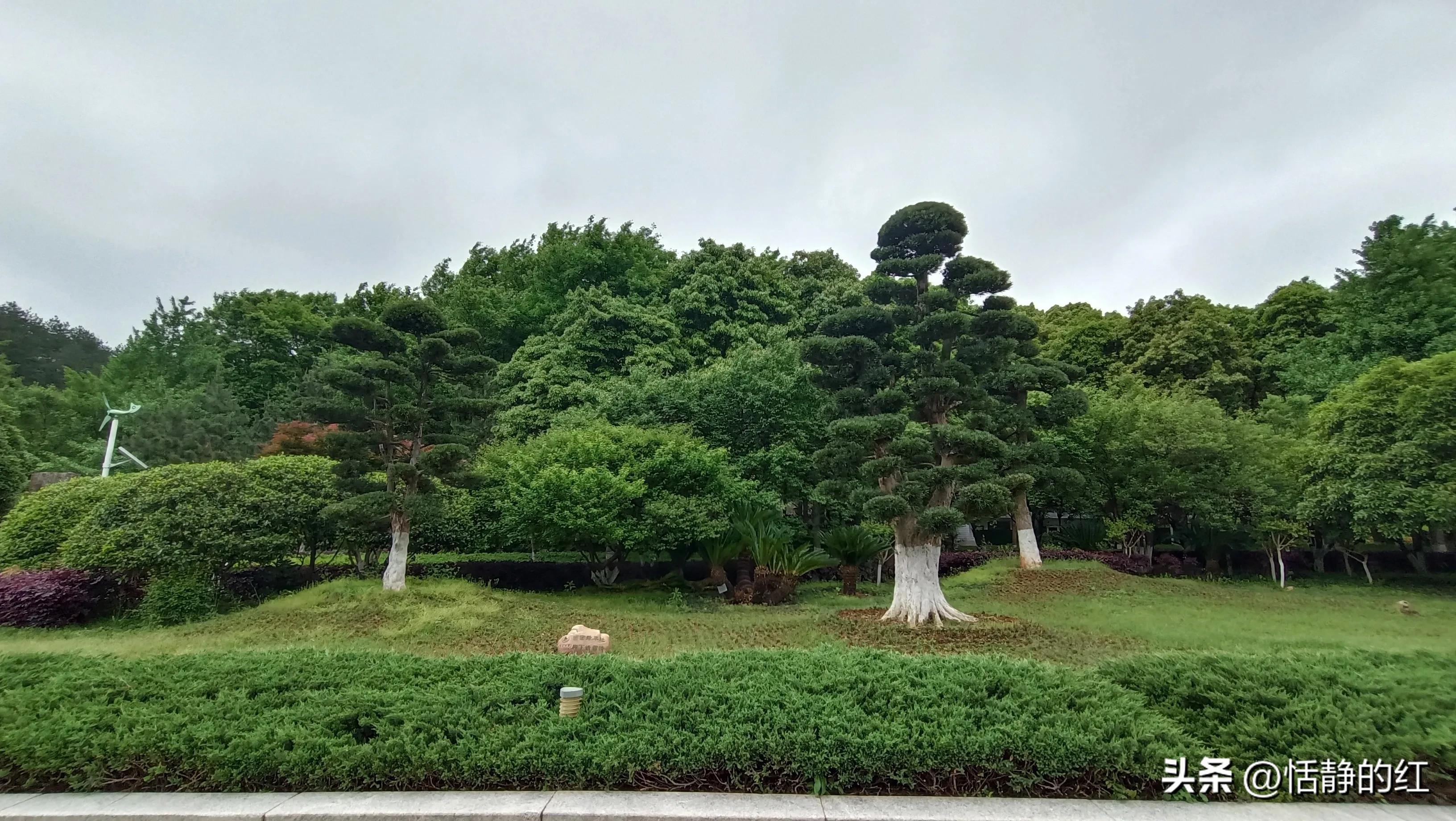 旅游真的可以治愈心灵么,旅游能治愈人心吗