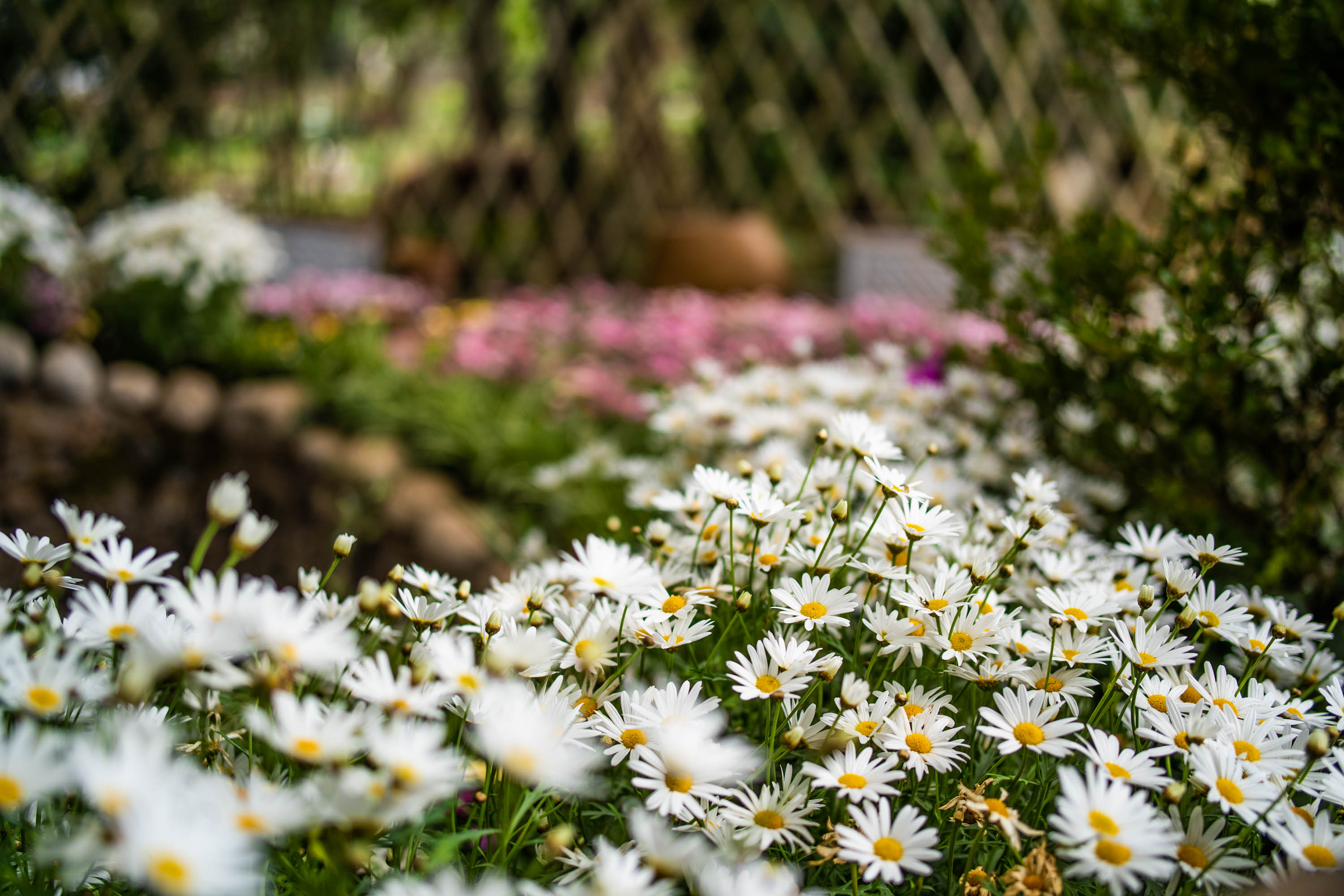 去云南跟团一日游攻略图片大全集,云南六日游跟团路线攻略大全