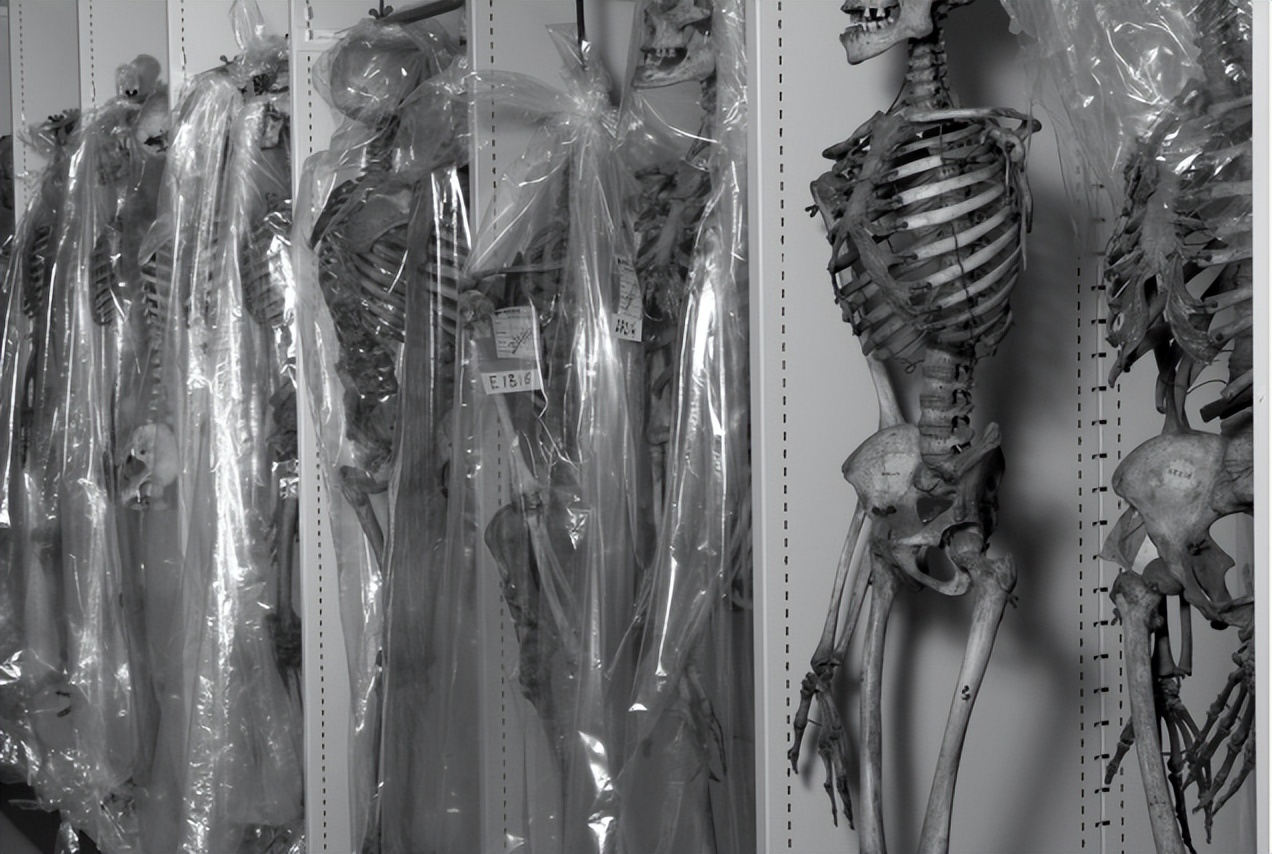 南非女子被骗到欧洲,南非女性被骗200年后回国