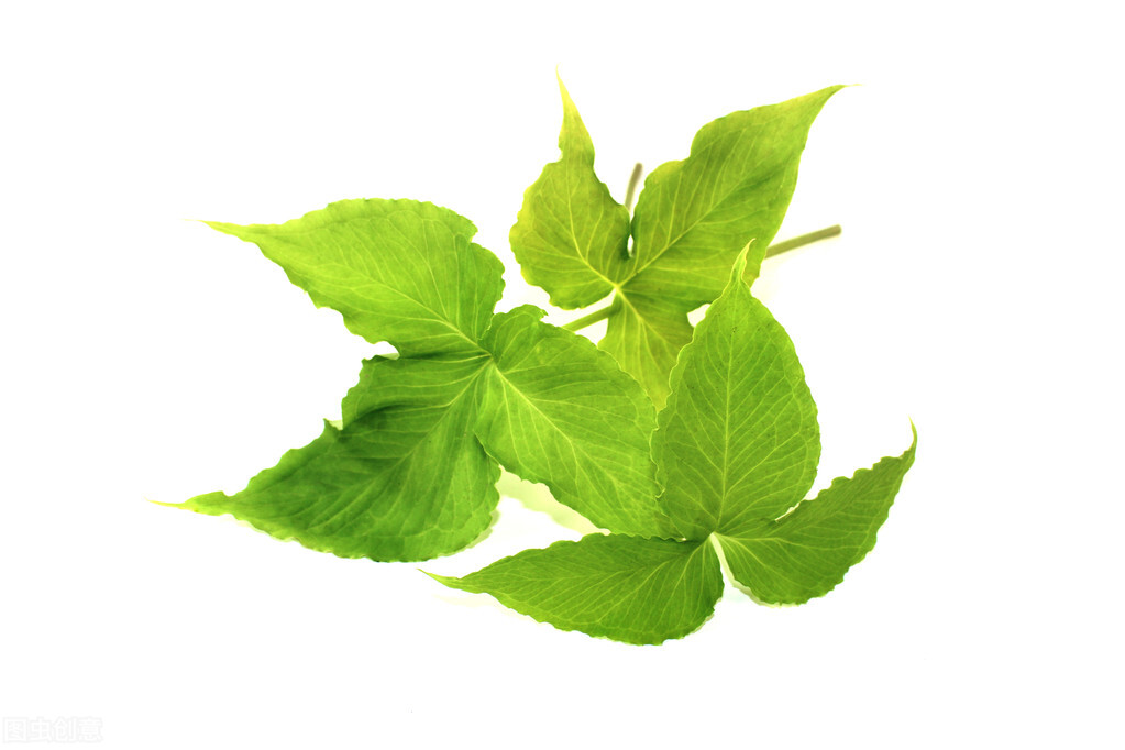 躺下心慌心悸失眠,失眠出现心慌胸闷气短不好出气