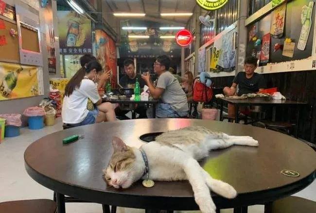 刚刚,我把月入2万元的烧烤店关掉了:表面风光,辛酸自己知道